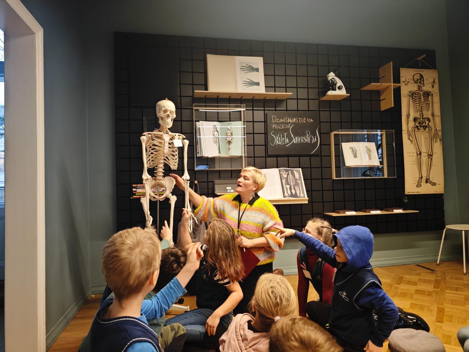 izstādes vadītāja rāda un stās par skeletu, fonā uz sienas skeleta attēls un makets. bērni klausās un rāda ar pirtu uz skeletu.