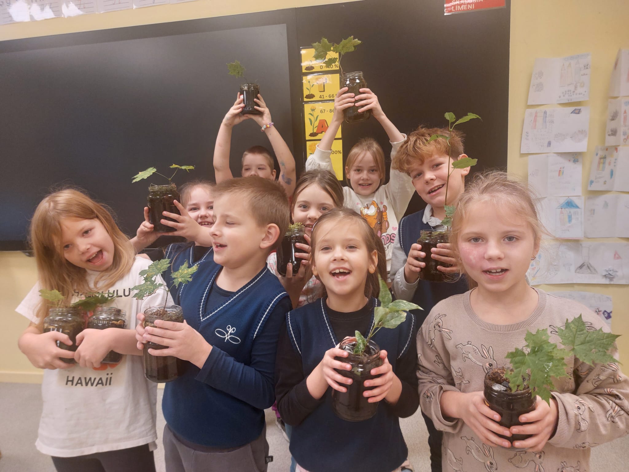 Skolēni zilajās vestītēss, stāv klasē pie tāfelesd, rokās viņiem plastmasas trauciņos izaudzēti stādi